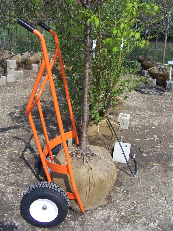 Hand Trucks R Us Diablo Nursery Ball Cart 1200 Lb Capacity Item Landscape Hand Truck